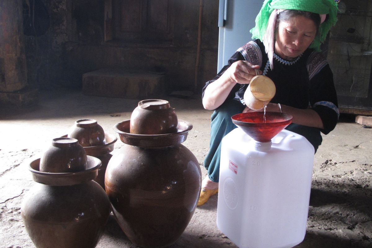 Rượu ngô Sùng Phài (Sùng Phài Corn Wine) Lai Chau Vietnam 